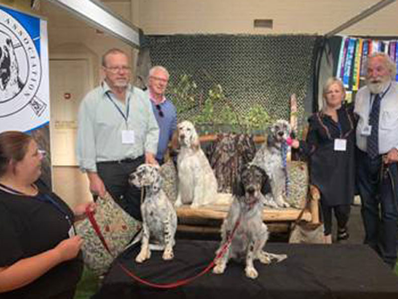 Dog Lovers Show 2019